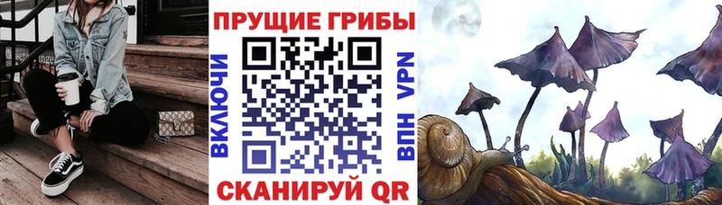 Псилоцибиновые грибы Psilocybine cubensis  где купить наркотик  Жуковка 
